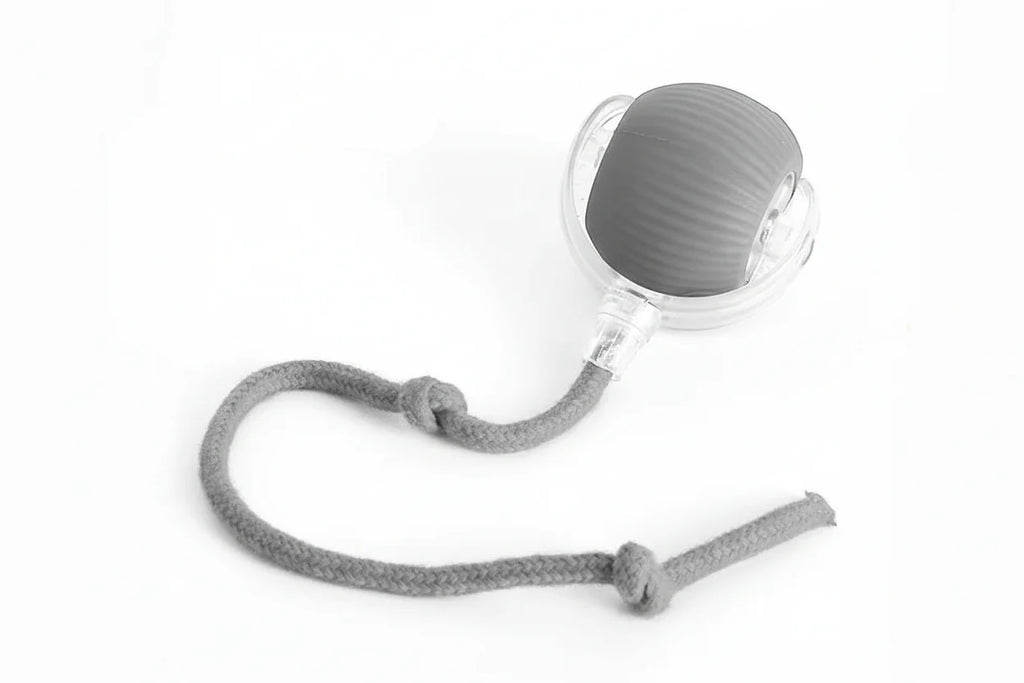 Pelota con cola recargable y sensor de movimiento