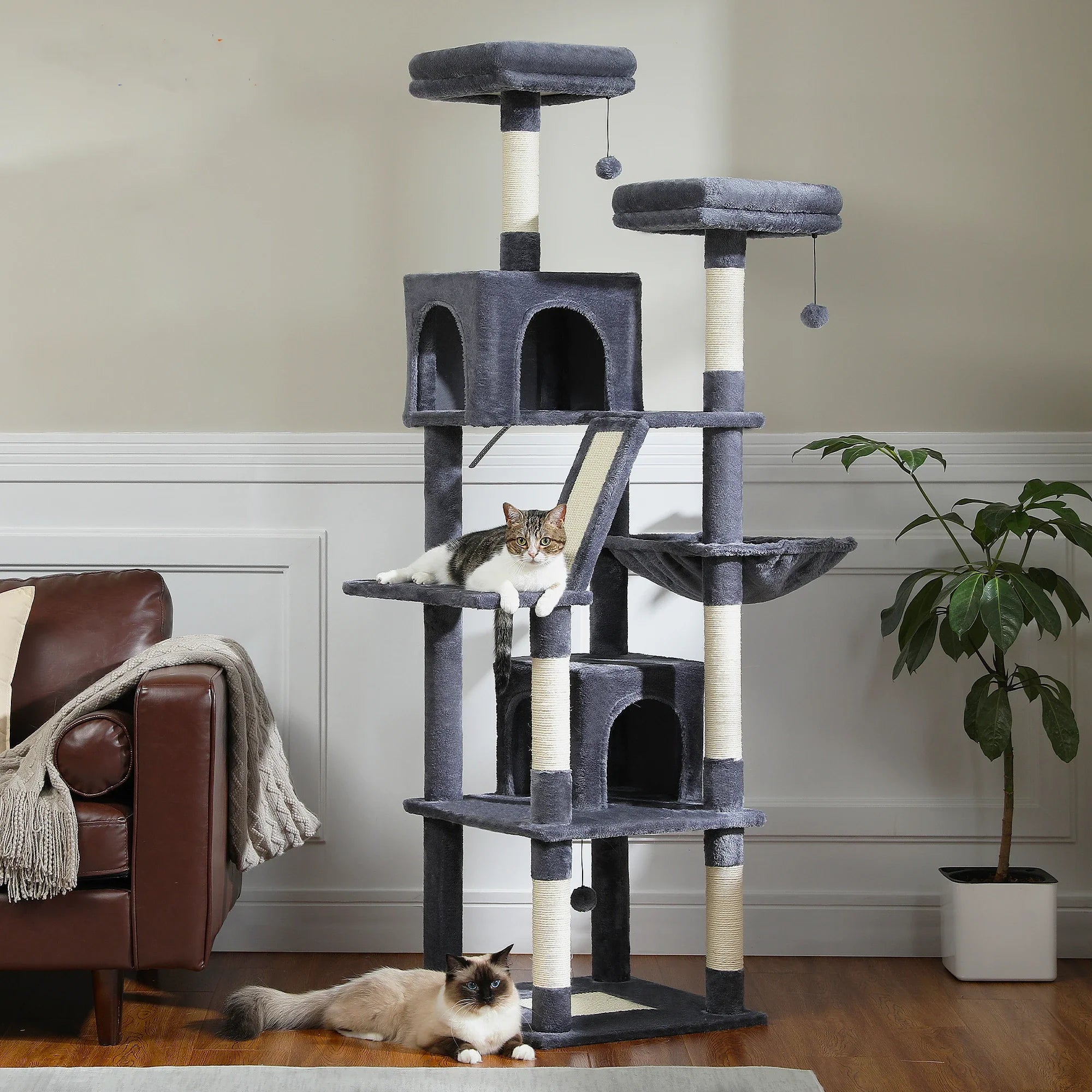MimoPaws Feandrea Premium Árbol para Gatos, 180cm de Altura
